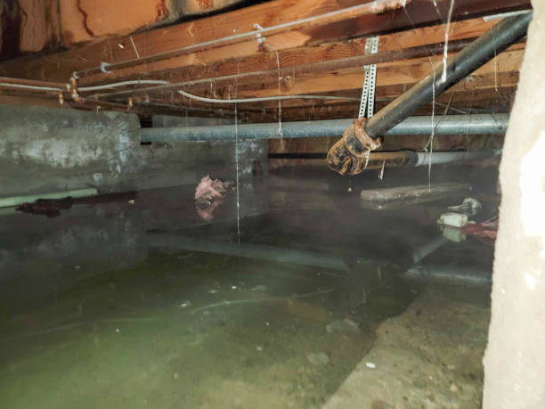 Best 24/7 water damage repair  in North Prairie, WI