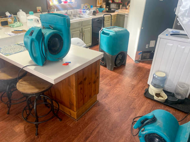 Best Water damage cleanup near me  in North Prairie, WI