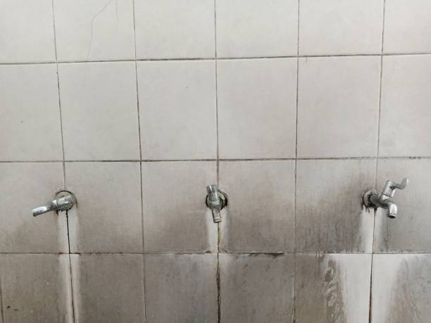 Trusted North Prairie, WI Water damage restoration Experts