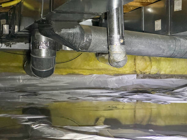 Best Sewage cleanup and water damage restoration  in North Prairie, WI