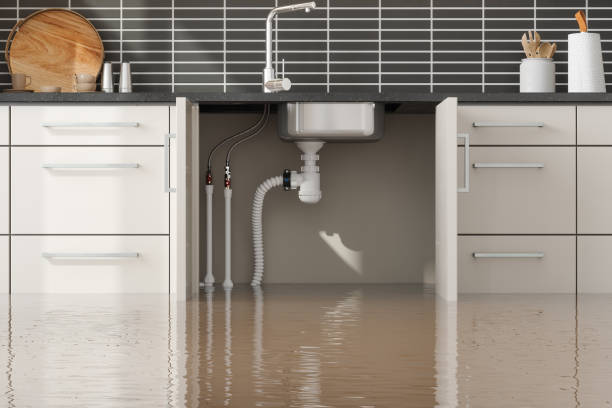 Best Water damage contractors near me  in North Prairie, WI